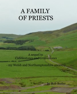 A FAMILY OF PRIESTS book cover