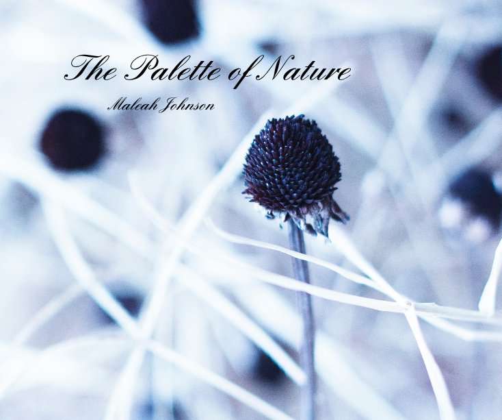 View The Palette of Nature by Maleah Johnson