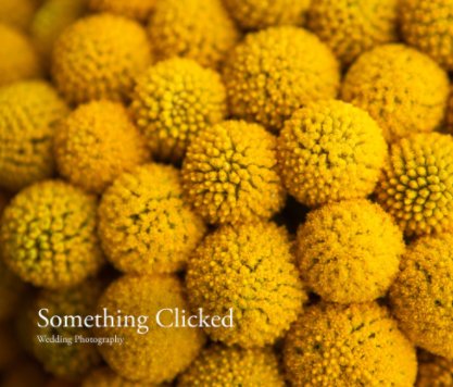 Something Clicked Wedding Photography book cover