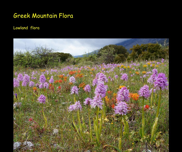 View Greek Mountain Flora Lowland flora by Klaas Kamstra