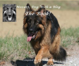 Mozart, Dog With a Blog book cover