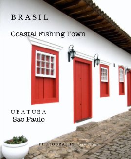 Brasil book cover