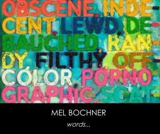MEL BOCHNER book cover
