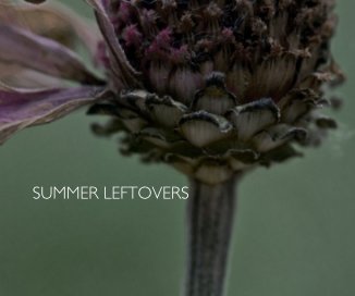 SUMMER LEFTOVERS book cover