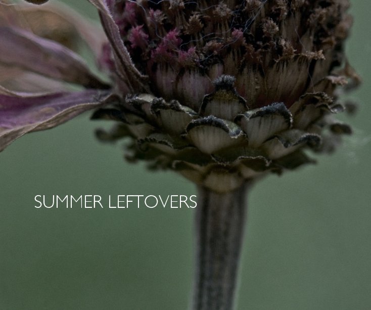 View SUMMER LEFTOVERS by perksfilm