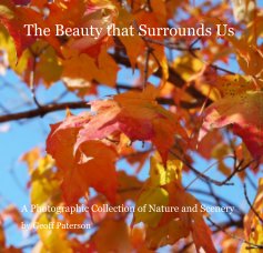 The Beauty that Surrounds Us book cover