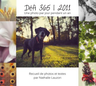 Défi 365 | 2011 book cover