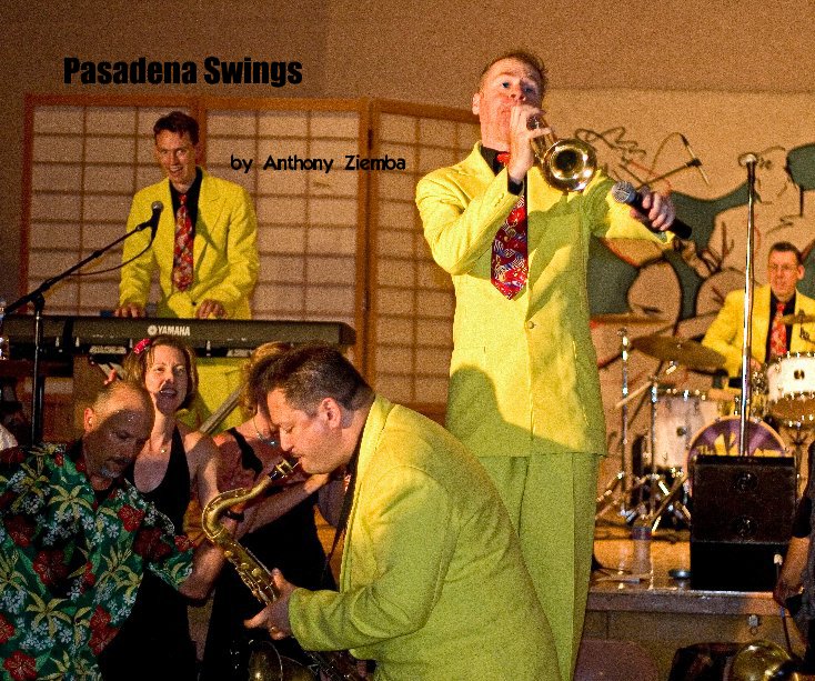 View Pasadena Swings by Anthony Ziemba