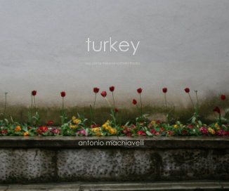 turkey book cover