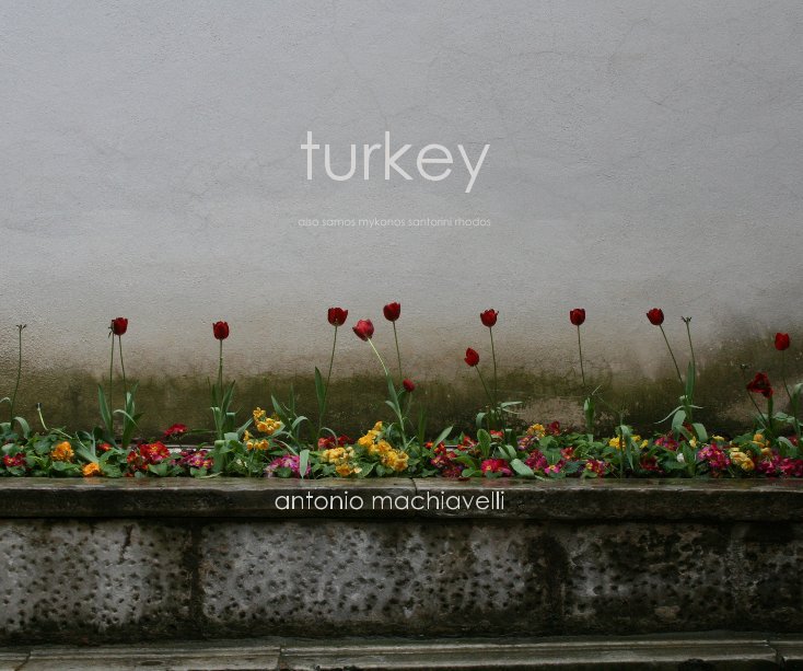 View turkey by antonio machiavelli