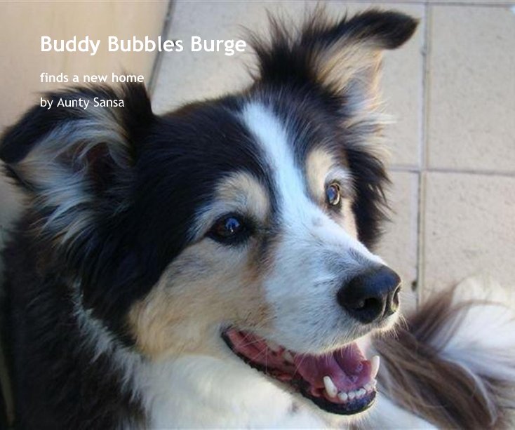 Bekijk Buddy Bubbles Burge op Aunty Sansa