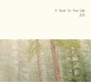 A Year in the Life book cover
