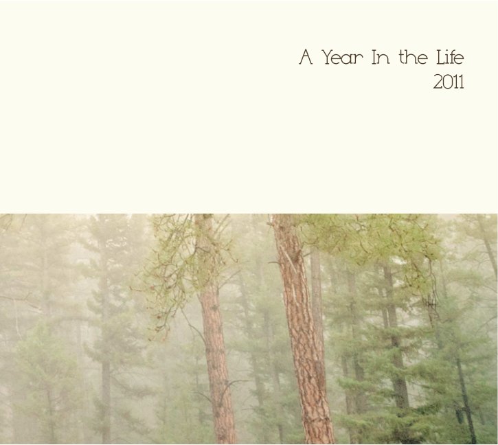 View A Year in the Life by Suzie Mauro