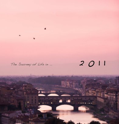 The Journey of Life in...2011 book cover