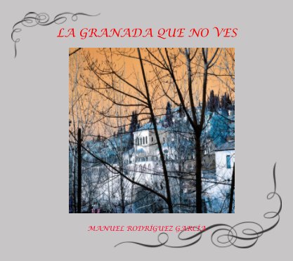 LA GRANADA QUE NO VES book cover