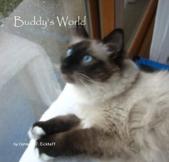 Buddy's World book cover