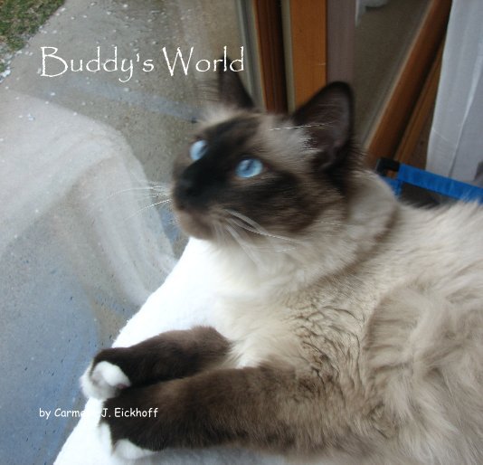 Buddy's World nach Carmelle J. Eickhoff anzeigen