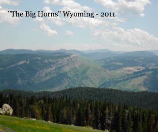 "The Big Horns" Wyoming - 2011 book cover