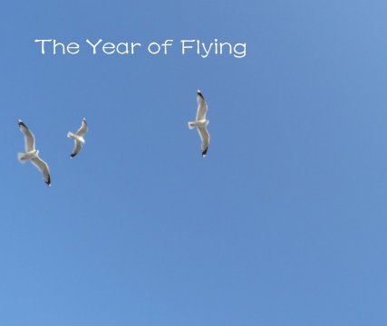 The Year of Flying book cover