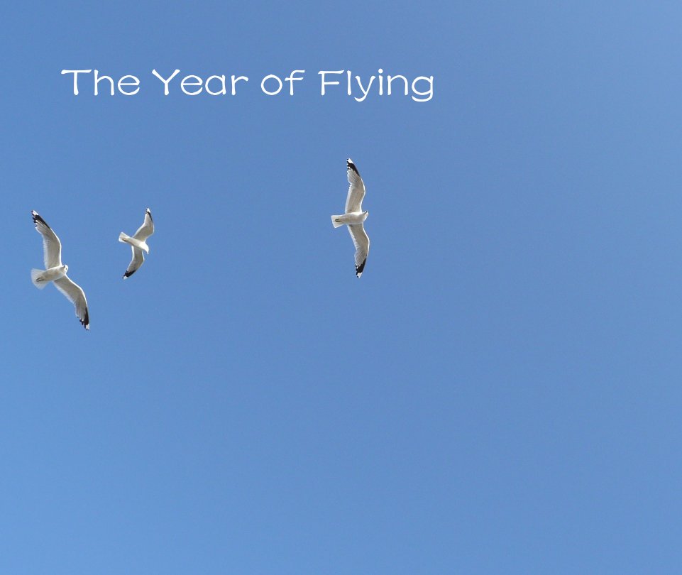 View The Year of Flying by Claudia Parma