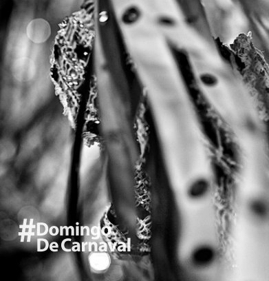 Domingo de Carnaval book cover