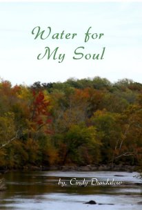 Water for My Soul book cover