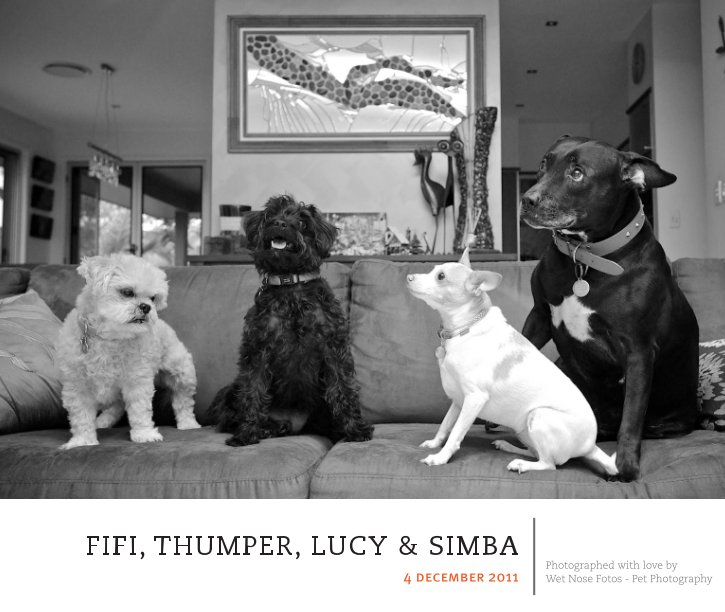 Fifi, Thumper, Lucy & Simba nach Wet Nose Fotos anzeigen