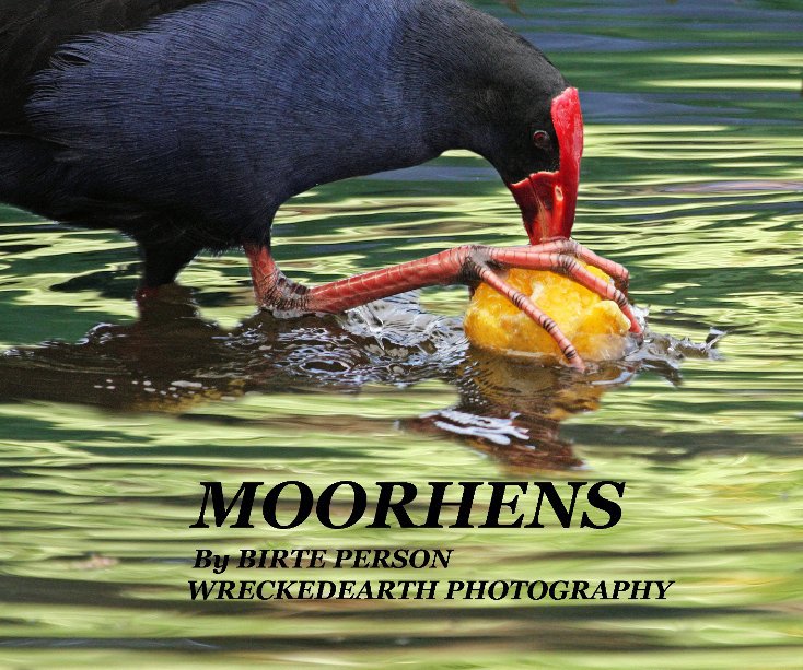 View moorhens by wreckedearth