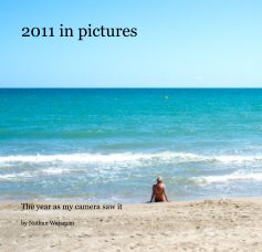 2011 in pictures book cover