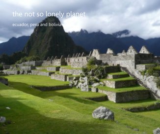 the not so lonely planet book cover