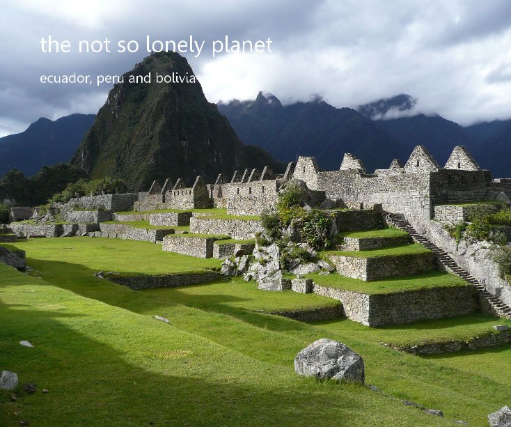 Visualizza the not so lonely planet di Jayne Elwell