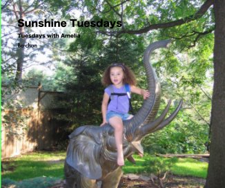 Sunshine Tuesdays book cover