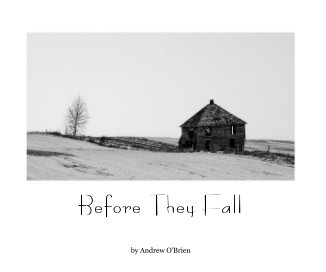 Before They Fall book cover