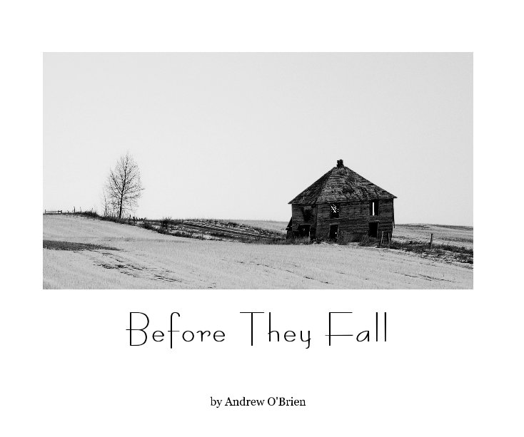 View Before They Fall by Andrew O'Brien