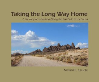 Taking the Long Way Home book cover