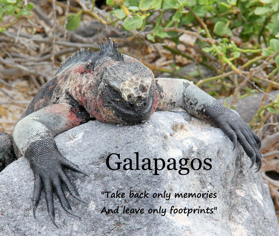 View Galapagos "Take back only memories And leave only footprints" by bumbidog