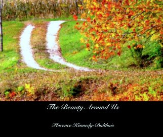 The Beauty Around Us book cover