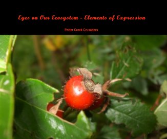 Eyes on Our Ecosystem - Elements of Expression book cover