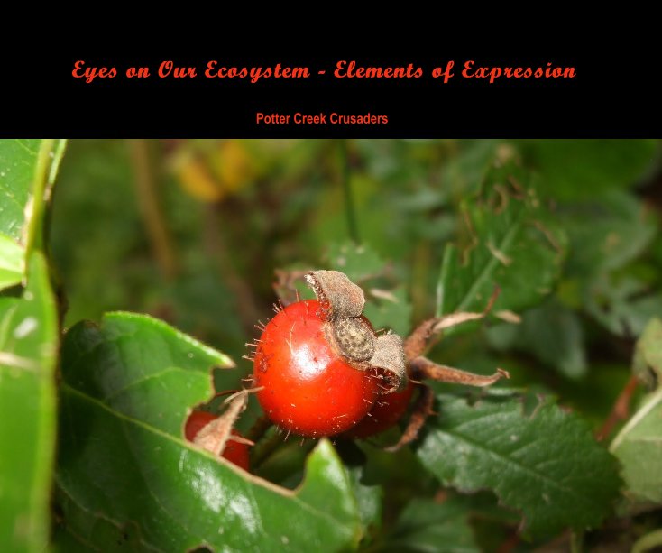 Ver Eyes on Our Ecosystem - Elements of Expression por doyouknow