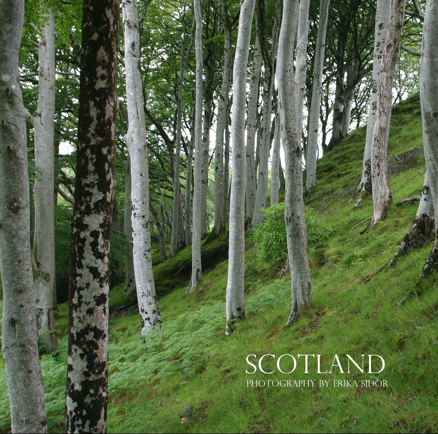 View Scotland 2004 by Erika Sidor