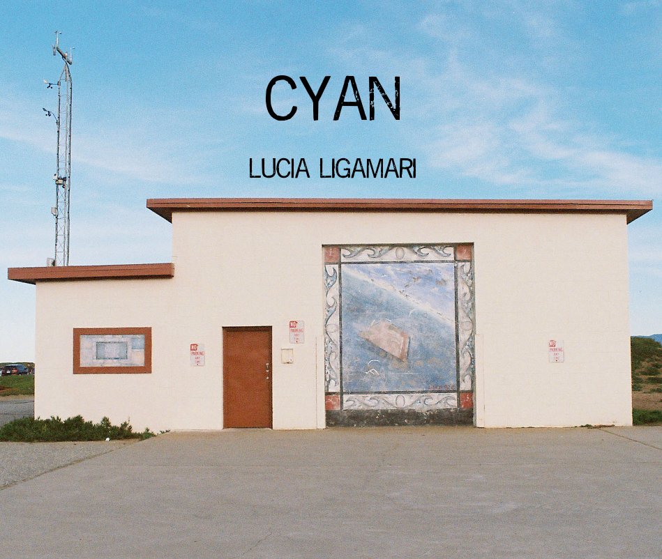 View Cyan by Lucia Ligamari