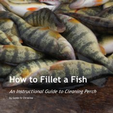 How to Fillet a Fish book cover