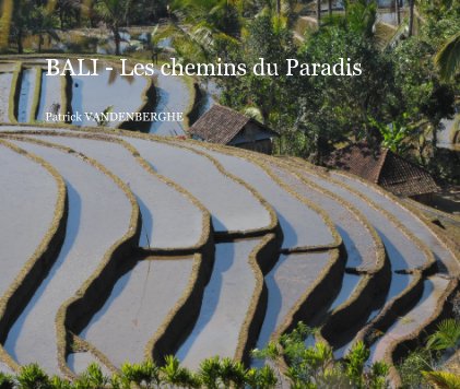 BALI - Les chemins du Paradis book cover