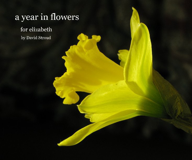View a year in flowers by David Stroud