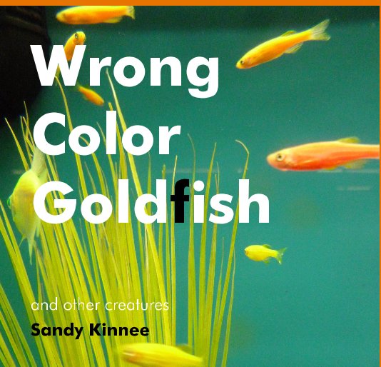 View Wrong Color Goldfish by Sandy Kinnee