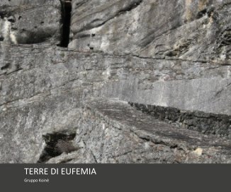 TERRE DI EUFEMIA book cover