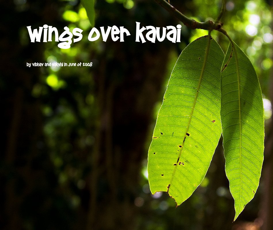View Wings over Kauai by Vibhav and Sakshi in June of 2008