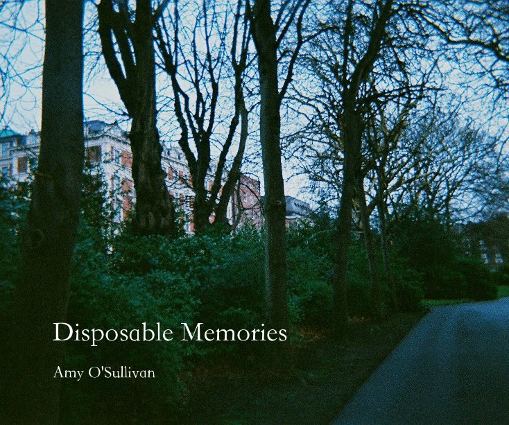 View Disposable Memories by Amy O'Sullivan