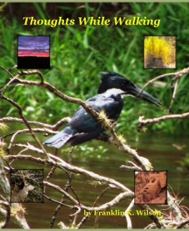Thoughts While Walking book cover