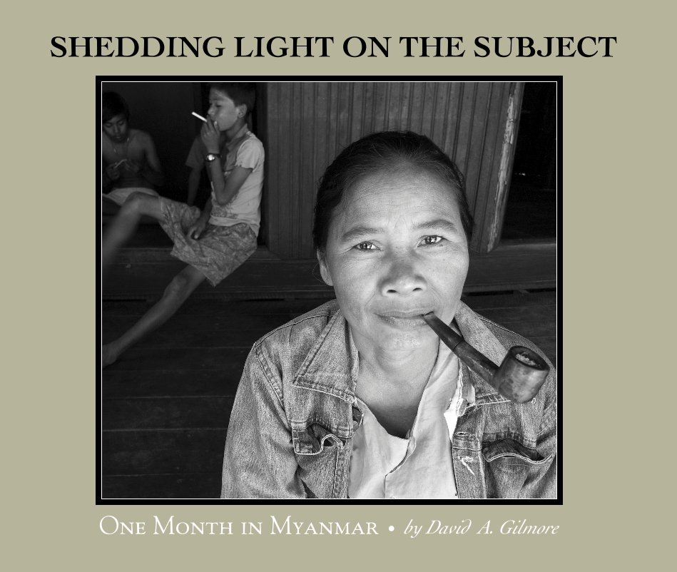View SHEDDING LIGHT ON THE SUBJECT by by David A. Gilmore